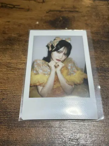 후르츠 지퍼 진사이 스즈카 폴라로이드
