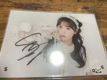 후르츠 지퍼 사쿠라이 유이 아쿠파네