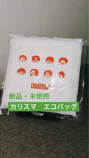 카리스마 에코백