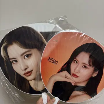 TWICE도 부채