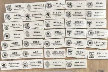 니지 페스티벌 네임 배지 묶음 판매