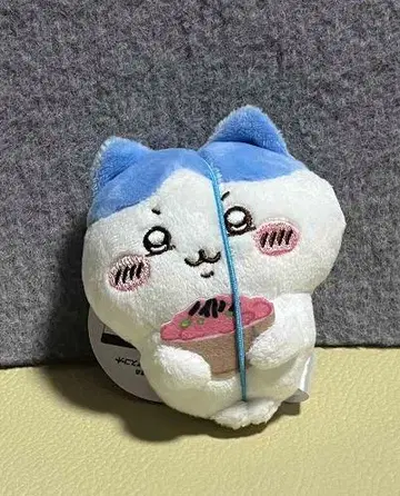 고양이 봉제 인형 음식 포함
