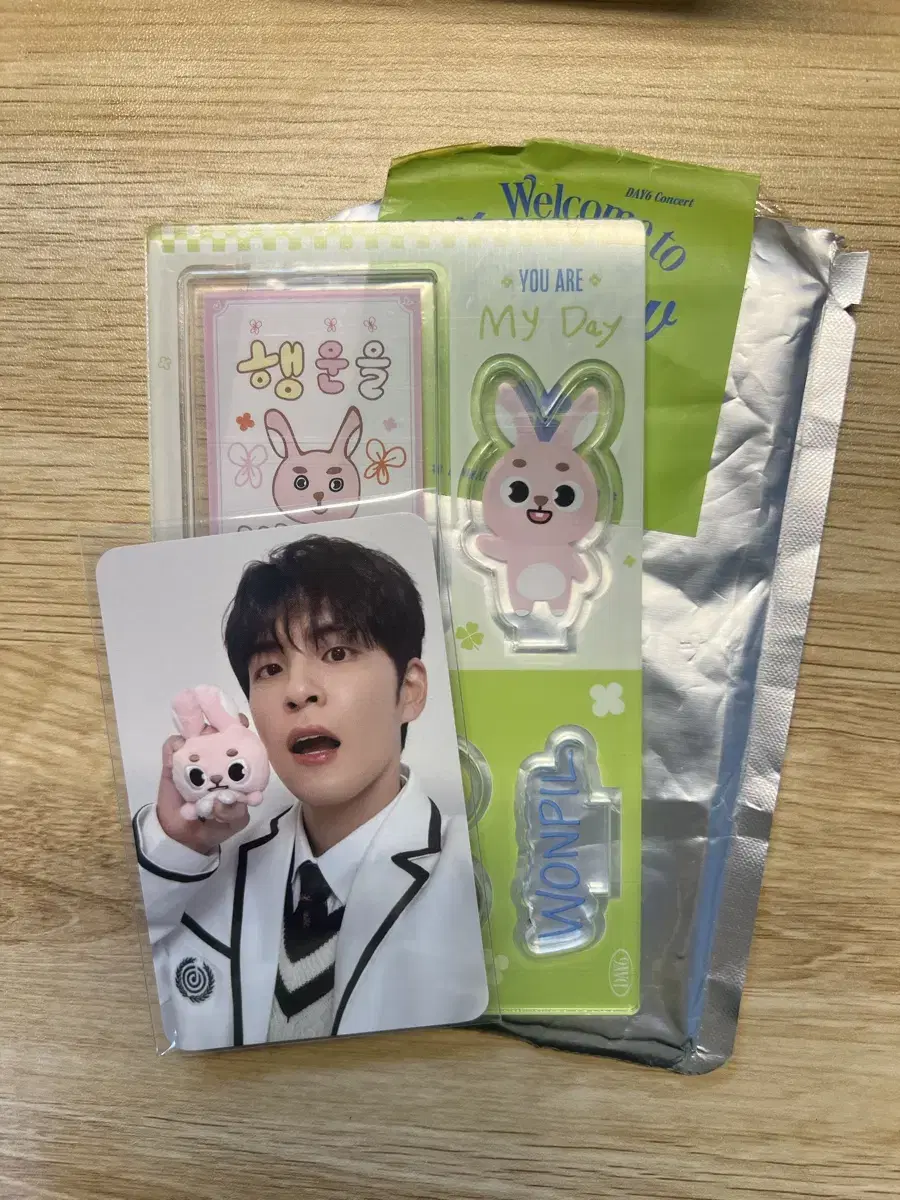 DAY6 Wonpil Lucky Charm Acrylic Stand Lucky Room Denimals Pil Poca Cherry Blossom Concert MD