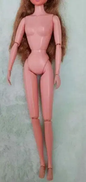 슈퍼 액션 바디 sa 제니