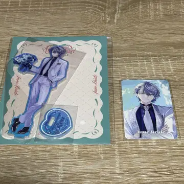 니지산지 준 브라 코야나기 로우