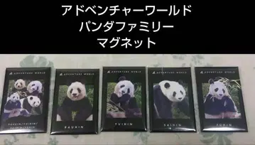 어드벤처 월드 팬더 패밀리 뿔 마그넷 5종