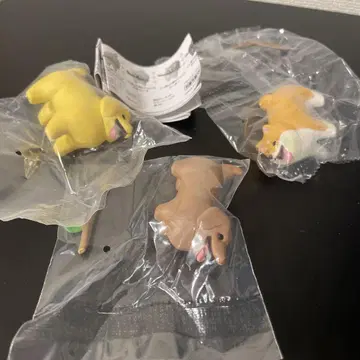 좋은 막대기를 겟한 개
