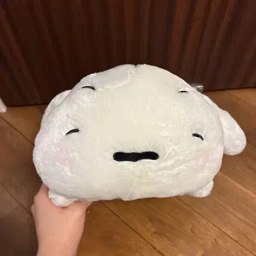 크레온 신짱 시로 봉제 인형