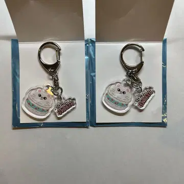 STRAYKIDS skzoo popup 2025 아크링 키링 현진