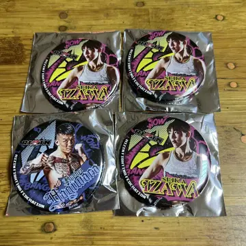 RIZIN 하가하라 쿄헤이 이자와 호시카 3개 캔 배치