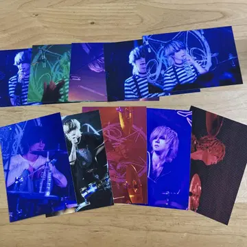 JILUKA Zyean 라이브 사진 10장 세트