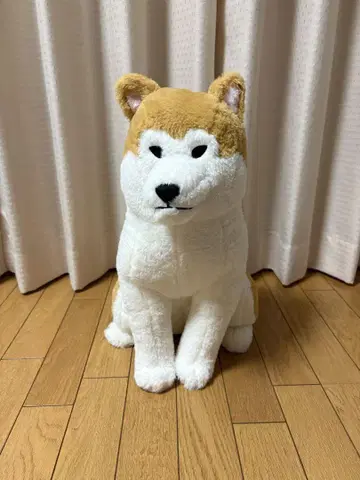 포근포근 아키타견 하치베 울트라 BIG 봉제 인형
