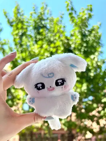 TWS 용제 마스터 봉제 인형 굿즈