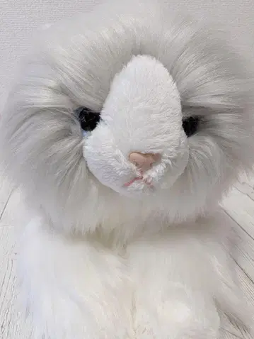 선 레몬 무릎 고양이 러그 인형 M 고양이 봉제 인형 봉제 인형 고양이