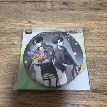 진격의 거인 캔뱃지 리바이 past and future