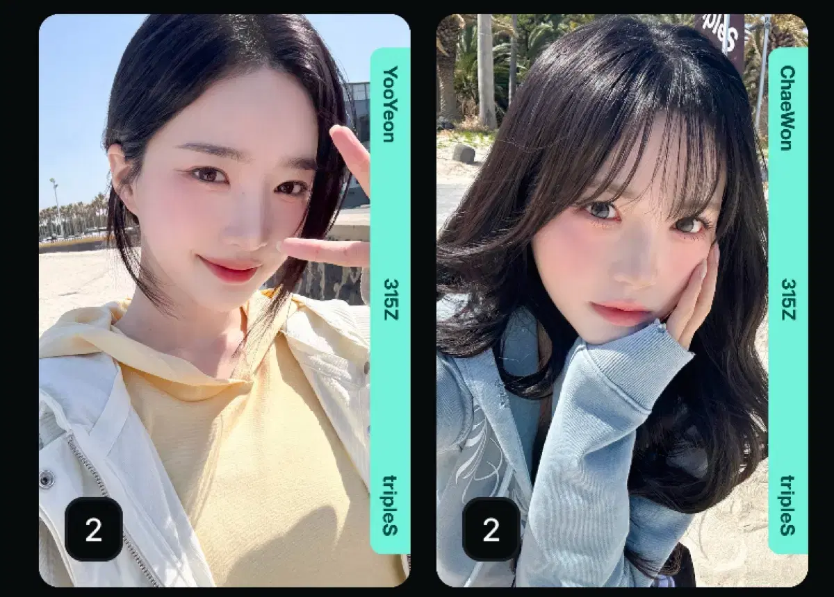 Triples yooyeon chaewon aa315 Badge War 3 Object