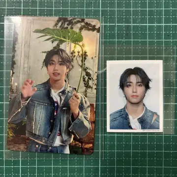 스트레이키즈 한