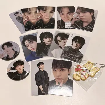 마메하라 잇세이 마메치
