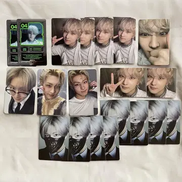 ENHYPEN DESIRE:UNLEASH YOU 정원