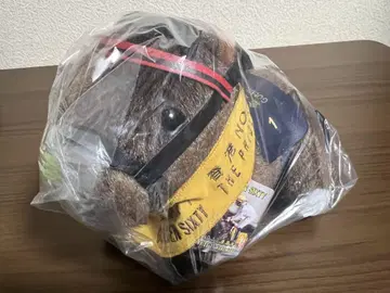 골든 식스티 봉제 인형 아이돌 호스