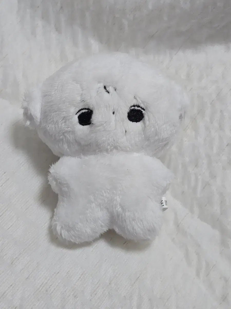 앤팀 죠 시고르자브죠 양도