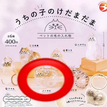 우리 아이의 털뭉치 고양이 노멀 가챠 반려동물의 털 반려동물의 털 보관함