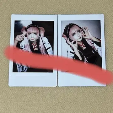 나방과 나비, 폴라로이드 세트