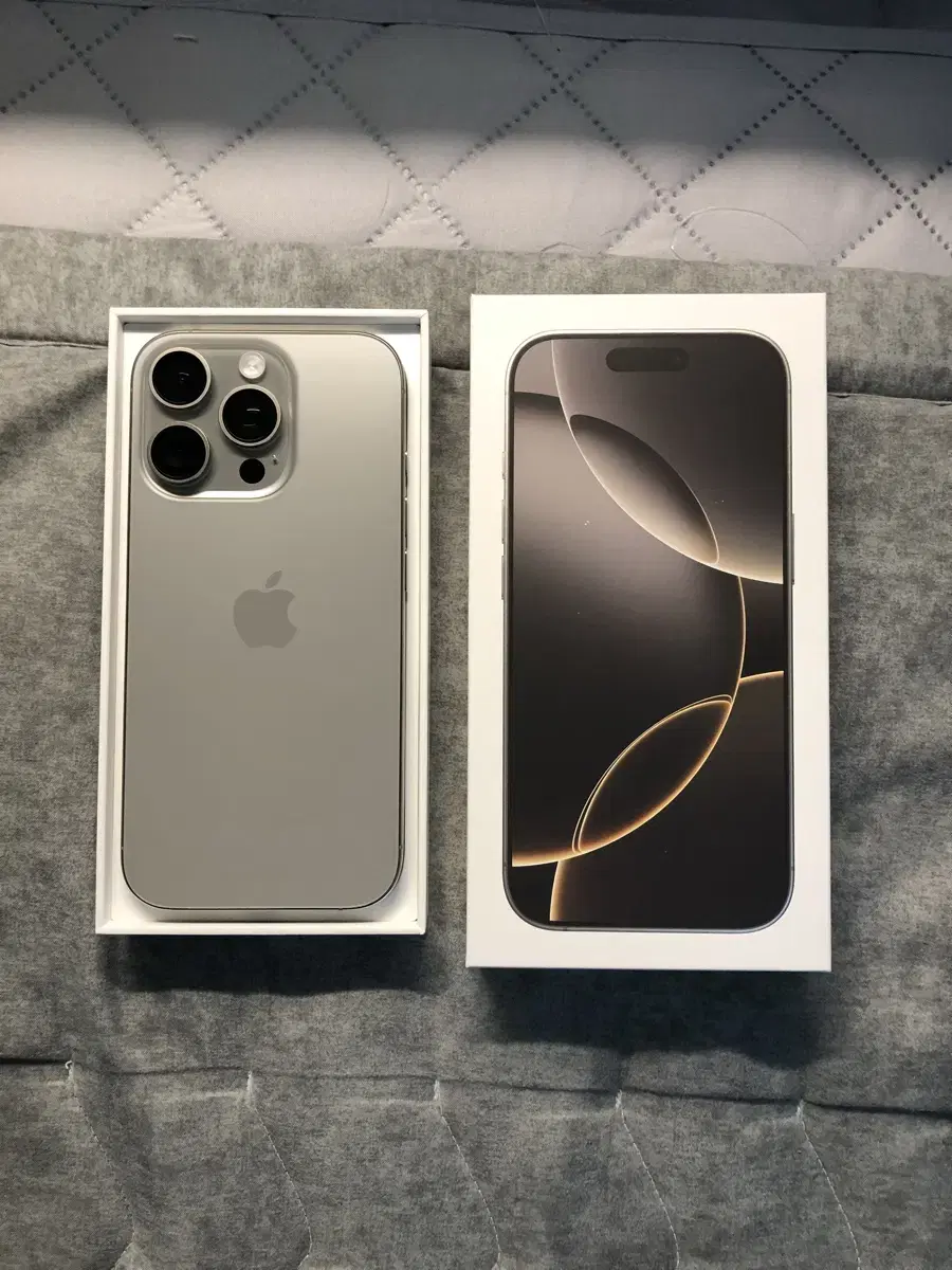 iPhone 16 Pro 256GB Battery 100 + Casetify
