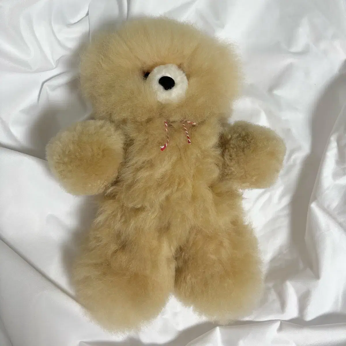 아르떼알파카 테디베어 곰인형