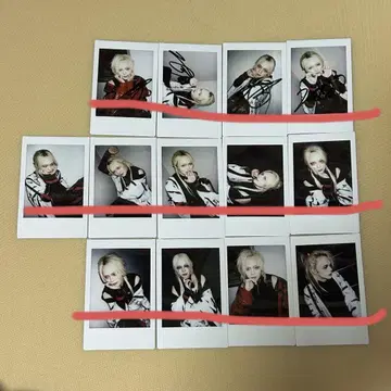 나방과 나비 제로 폴라로이드 12장 묶음 판매