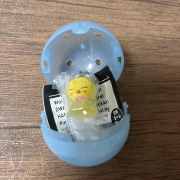 skzoo 메지루시 액세서리 포가리