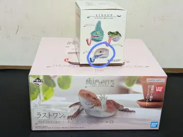 제일복권 파충류 양서류 라스트 원 D상 마그넷