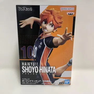 HAIKYUU!! 히나타 쇼요 포징 피규어