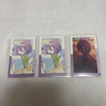 프로세카 에피카 금박