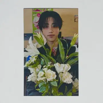 스트레이키즈 라키드로 한