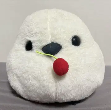 후쿠후쿠 시마연가 시마짱 빨간 열매 (소지)