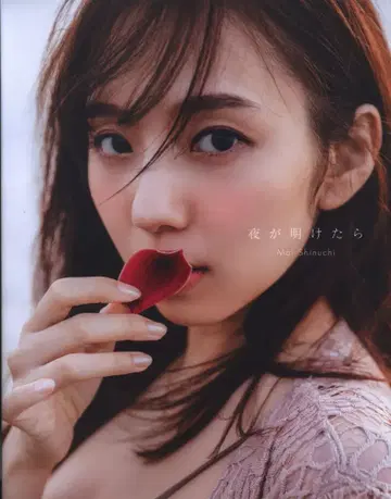 소학관 노기자카46 신나이 마이 밤이 밝으면
