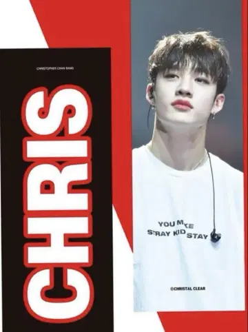 straykids 흠집 슬로건 반찬