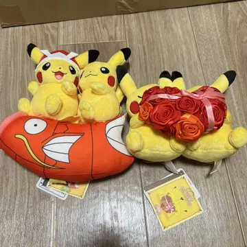 페어 피카츄 2월 5월