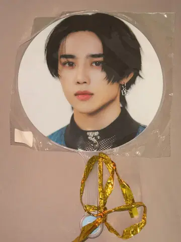 THEBOYZ 부채 선우
