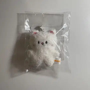 SKZOO KEYRING MICRO 지니 레트 현진