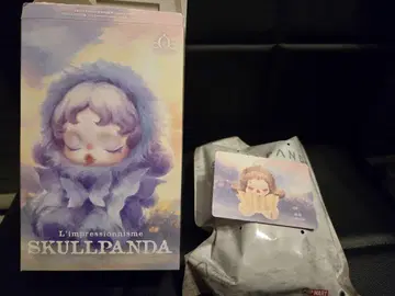 SKULLPANDA L'impressionnisme 봉제 인형