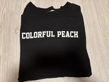 컬러풀 피치 카라피치 아베일 트레이닝복 블랙 4L