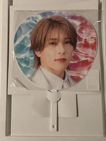 스에자와 세이야 부채 DNA
