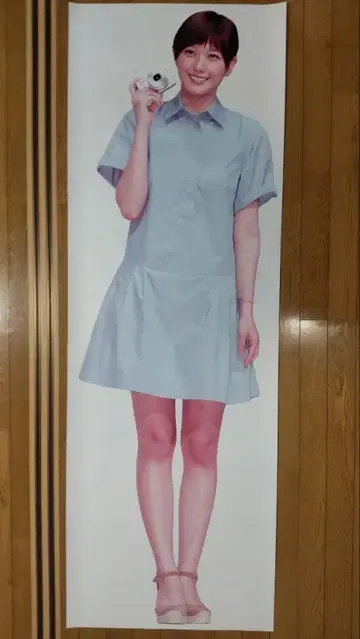 혼다 츠바사 등신대 포스터
