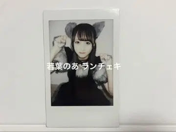 iLiFE! 와카바의 아 폴라로이드 할로윈 2023