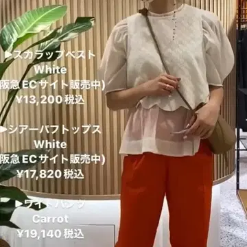 지프소피아 gypsohila 스캘럽 베스트