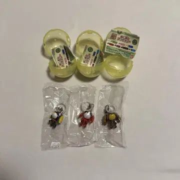 오차이누 메지루시 액세서리 론 아루 카페