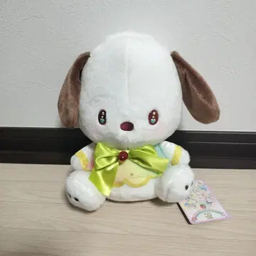 산리오 캐릭터즈 딸기 신문 50주년 BIG 봉제 인형 포차코