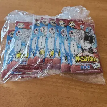 토도로키 쇼토 캔뱃지